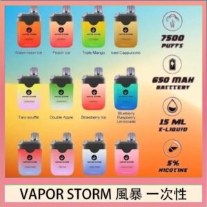 Vapor Storm風暴電子煙7500口(5%)一次性
