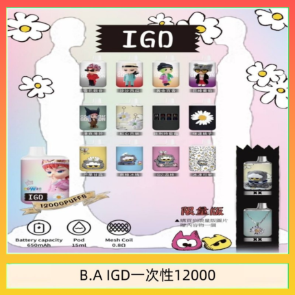 B.A IGD12000口 電子煙